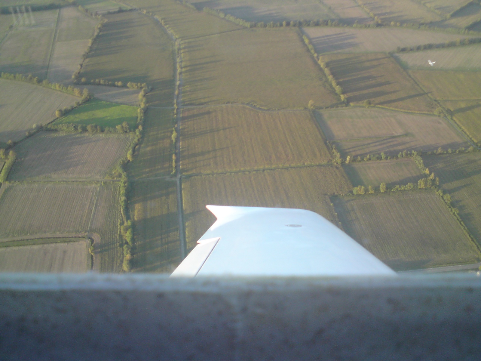 Cremona - 19 Settembre 2010